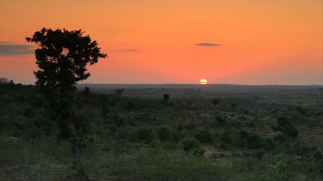 Kenya Program Overview - Feed The Children